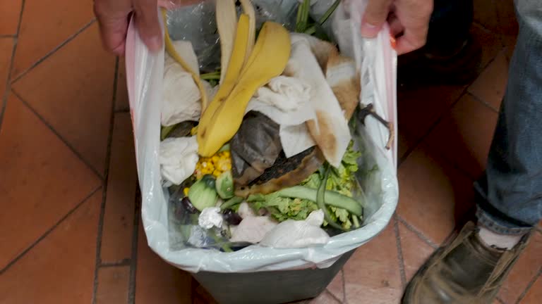  Wyomissing, PA Junk Removal Services Pros