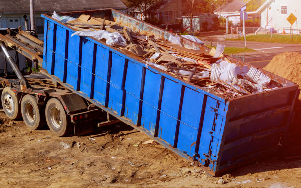 Best Shed Removal  in Wyomissing, PA
